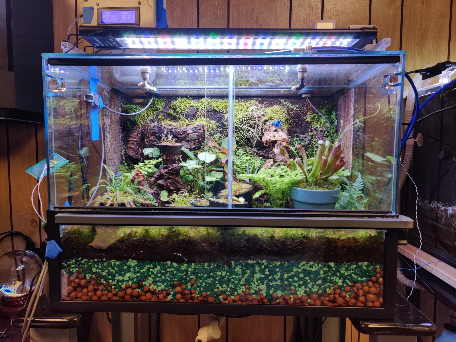 Completed planted vivarium with its drainage layers visible below